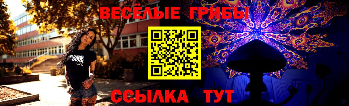 Галлюциногенные грибы мухоморы  Вход с VPN  Котельники 