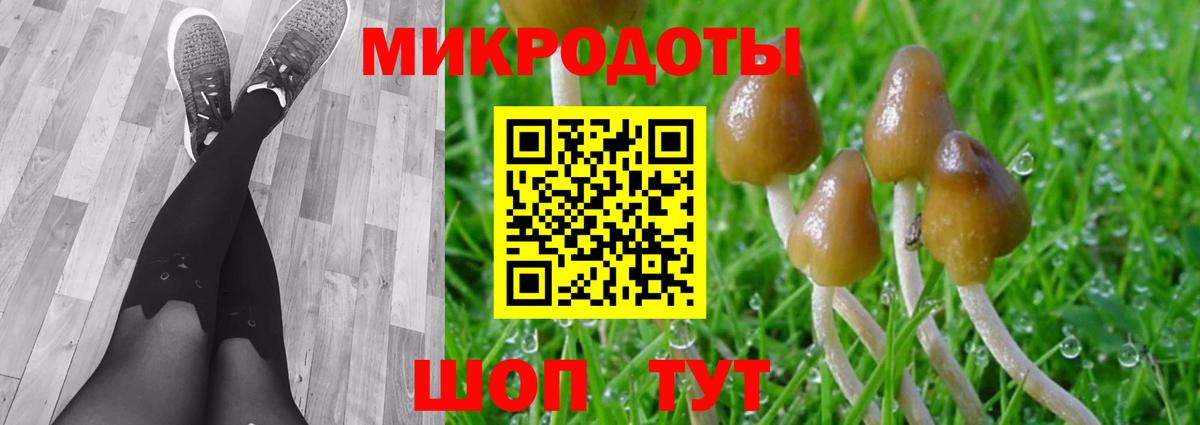 Галлюциногенные грибы мухоморы Котельники